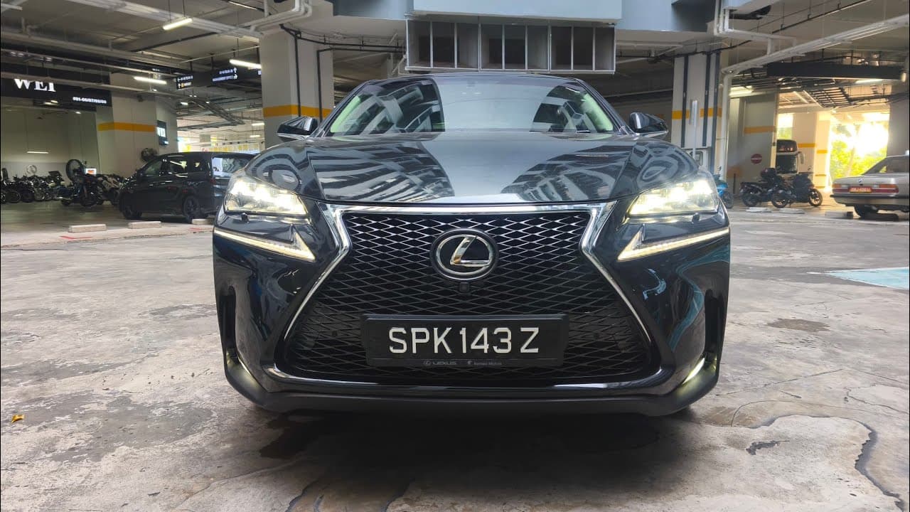 LEXUS NX200T LUXURY S/R Video Tour